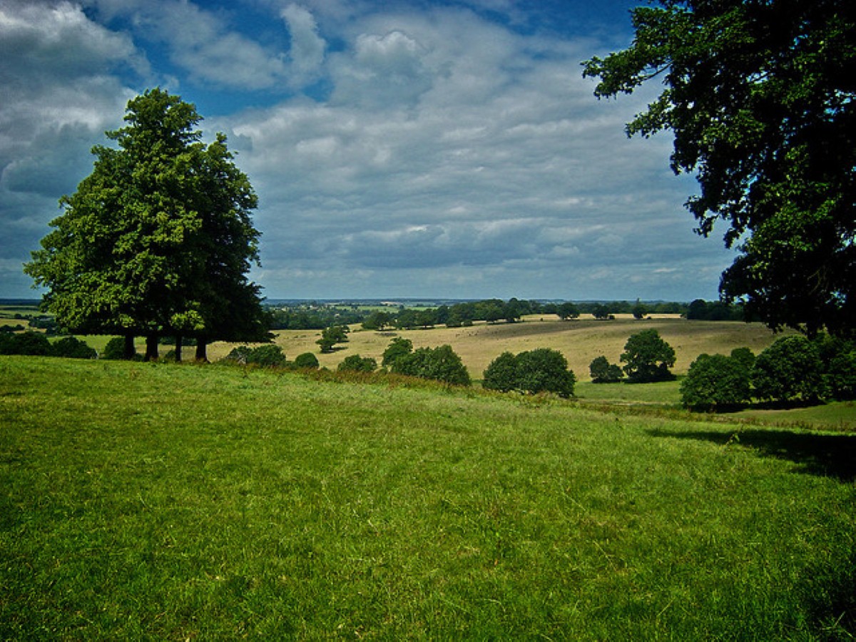 The fields are only fifteen minutes from the Olympic site