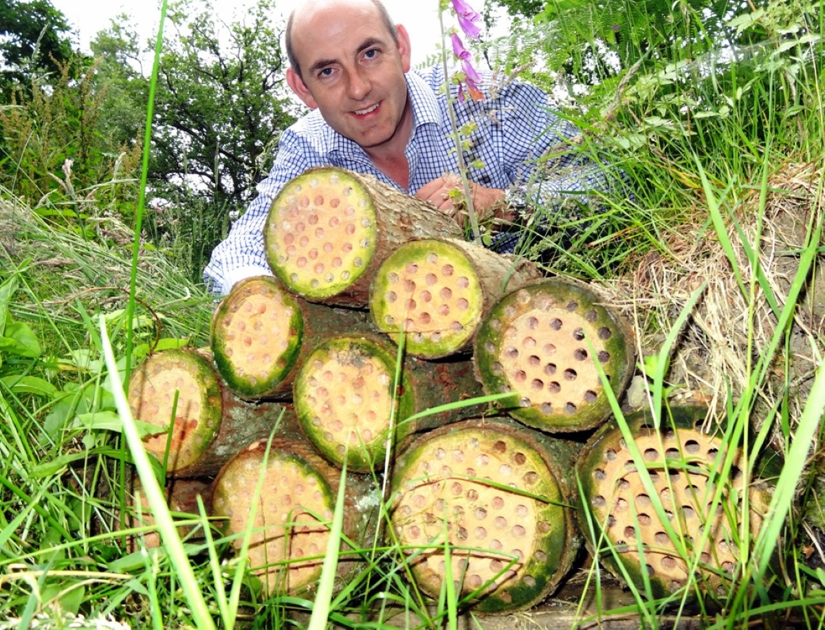 UK caravan parks look set to be instrumental in increasing the honey bee population