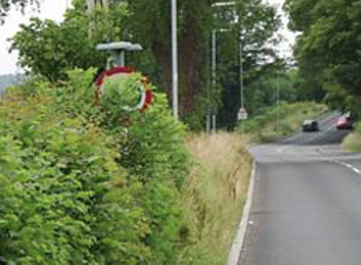 Overgrown bushes obscure road sign