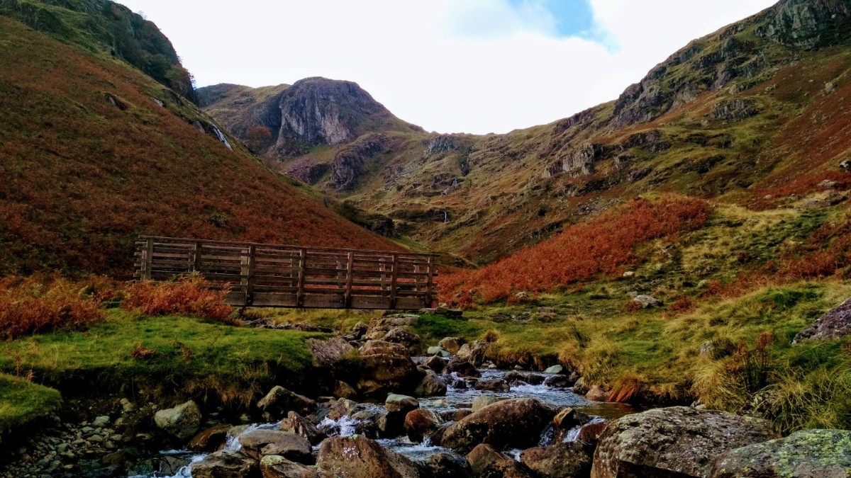 The Lake District National Park could become a lot greener by 2037