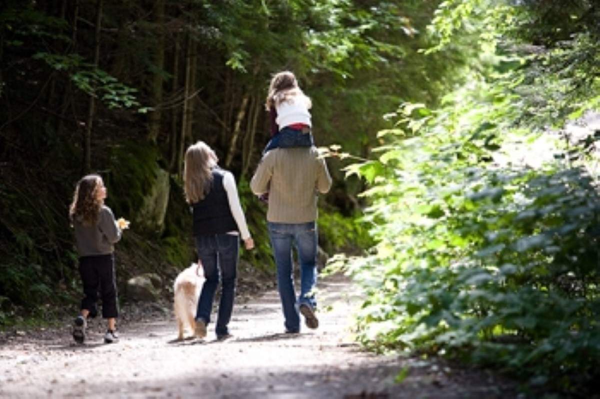 The Ramblers encourages people to go for a stroll with its Spring Walk programme