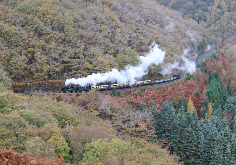 Steam train surrounded by trees in autumn