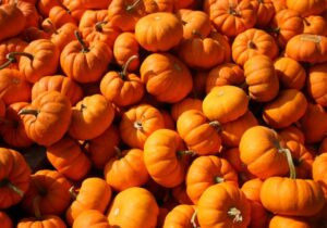 A pile of orange pumpkins