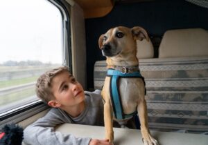 Boy traveling in a motorhome with his dog